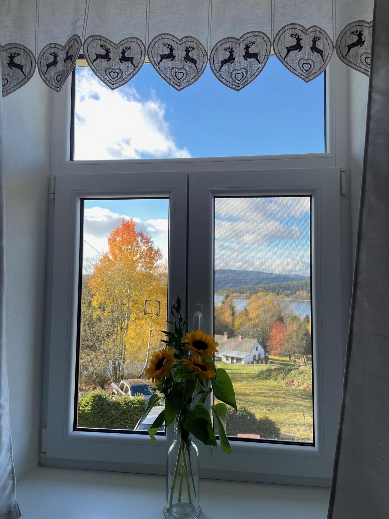 Apartmany Hajovna Lipno Loučovice Екстериор снимка